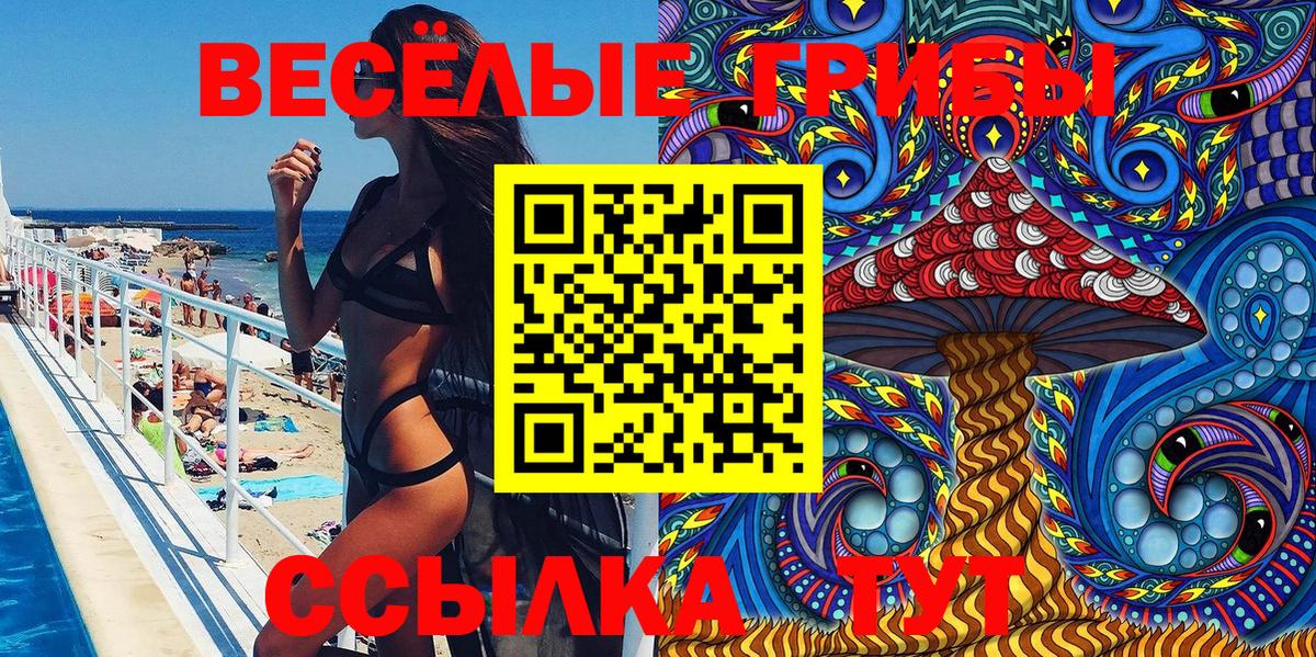 Галлюциногенные грибы Psilocybine cubensis  Вход с VPN  Новочебоксарск 